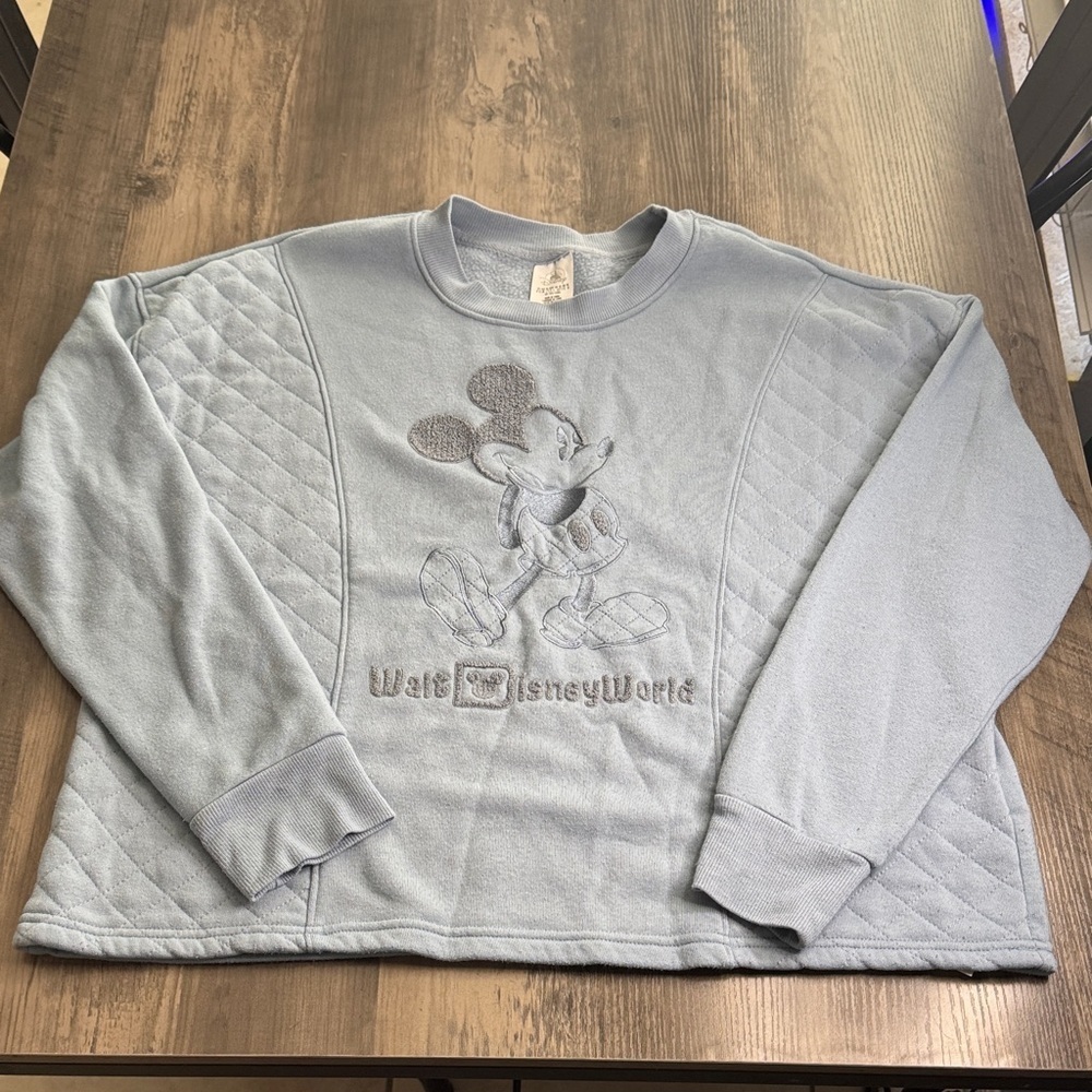 Disney Light Blue  Embroidered Sweatshirt